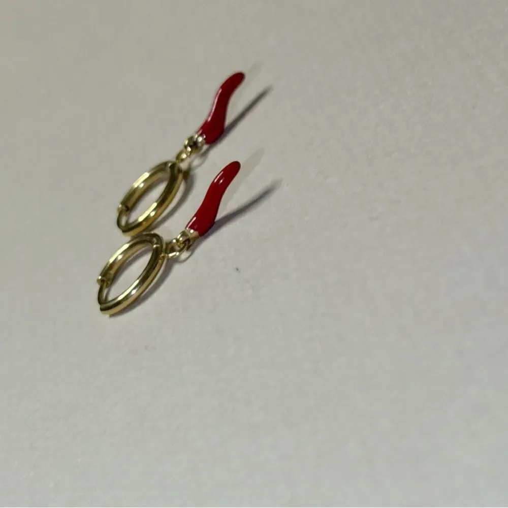 Pepper hoop Earrings N1715